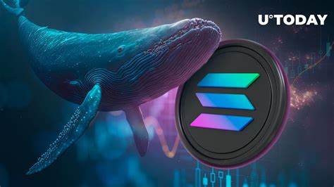 Solana Whale Breaks Silence, Moves Over 61,000 SOL In Massive Accumulation - NewsBTC