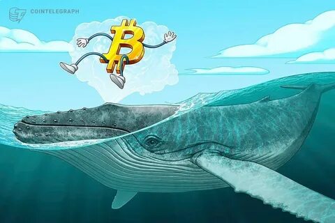 Mystery Whale Buys $1.3B in Bitcoin, Sparking Speculation - Crypto Times