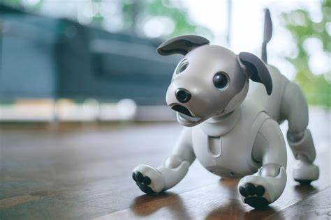 Pet to Human AI – See Your Pet as a Realistic Human Using AI