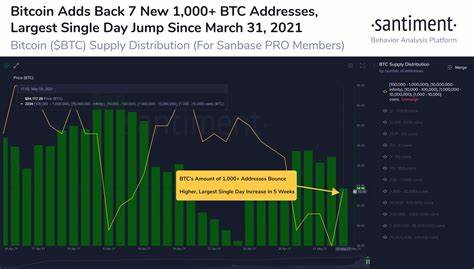 Bitcoin whale accumulation trend mirrors 2020-era bullish activity after BTC price bounces off $81K