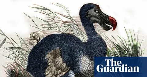 Scientists claim they've made 'pivotal step' in bringing back the dodo
