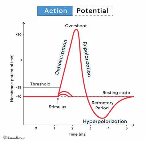 Action Potentials for June