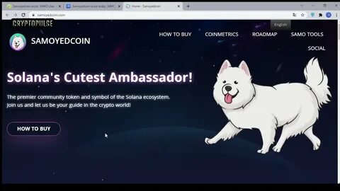What is Samoyedcoin (SAMO)? - The Motley Fool