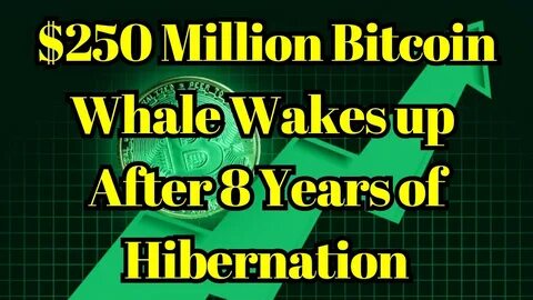 $250 Million Bitcoin Whale Wakes up After 8 Years of Hibernation - TradingView