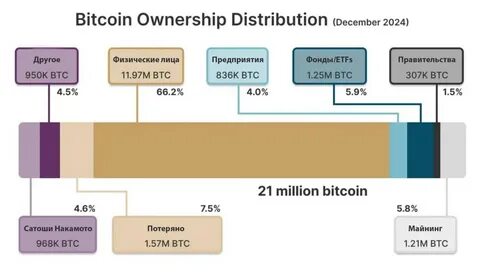 Bitcoin Ownership in 2025: Just 4% of People Hold BTC