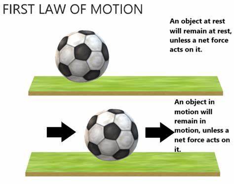 What Is Newton’s First Law of Motion?