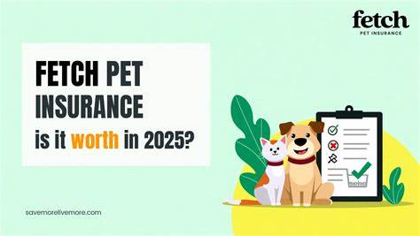 Fetch pet insurance review 2025