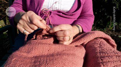 Ancient pathogen became deadlier when humans started wearing wool