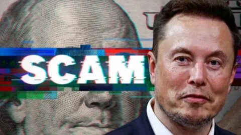 Elon Musk calls fiat currency a scam as bitcoin price surges