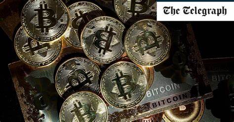 I thought Bitcoin was going to be like tulip mania. I was wrong - The Telegraph