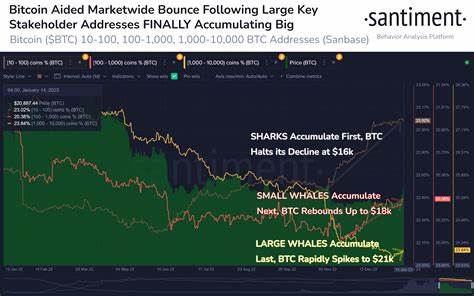 Bitcoin Whales Are Piling In: Is "Uptober" Set for a Bullish Rally? - CoinDesk