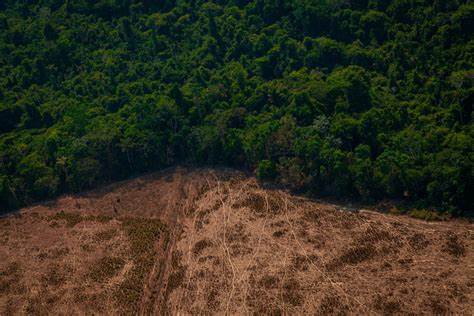 Tropical forest collapse linked to prolonged ancient global warming