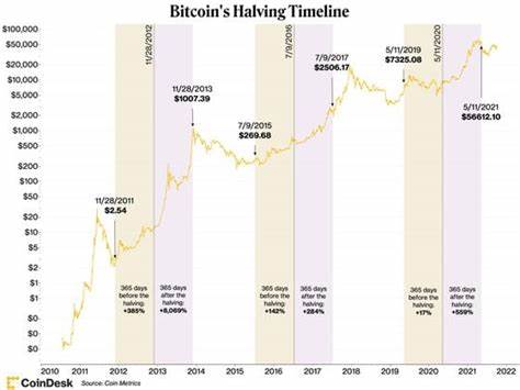 Halving Impact and Macro Shifts Create Tailwinds for Bitcoin - CoinDesk