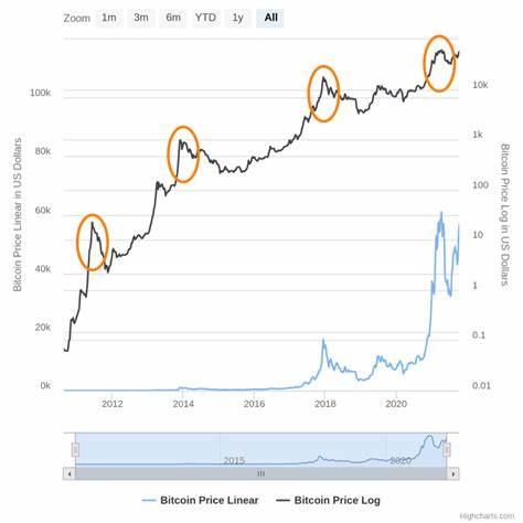 Experts Say BTC Will Stay Over $60,000 and Possibly Hit All-Time High Price Next 3 Month – Top 5 Altcoins to Invest Before the Bull Run - CryptoDaily