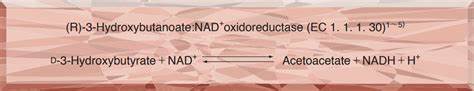HBD-301, D-3-Hydroxybutyrate dehydrogenase│酵素一覧│東洋紡バイオ事業総括部│東洋紡