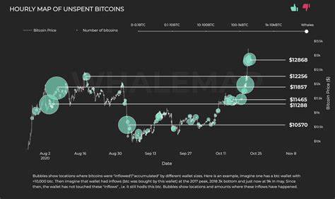 Bitcoin’s Price Shifts: How Whales Influence Key Levels: Guest Post by Crypto News Land - CoinMarketCap