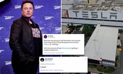 Elon Musk hints that Tesla may dump its billion dollar Bitcoin investment — here’s why his tweets have so much - Business Insider India