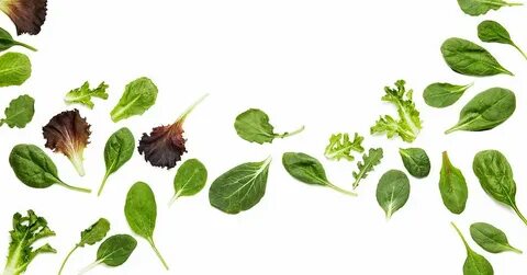 From Farm to Blockchain: Walmart Tracks Its Lettuce (Published 2018) - The New York Times