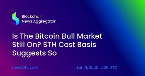 Is The Bitcoin Bull Market Still On? STH Cost Basis Suggests So - TradingView