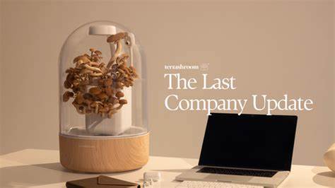 Terrashroom Last Company Update