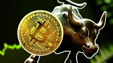 BTC Bull Token Bullish Following Lummis' Bitcoin Act? - Bitcoinist