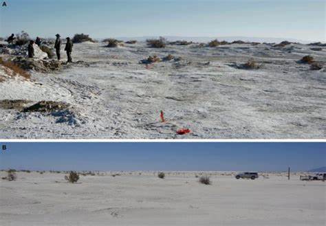 New dating for White Sands footprints confirms controversial theory