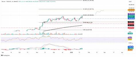 BTC reaches new all-time high, next target $125K as Trump takes the 