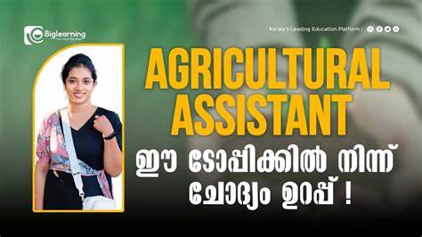 Show HN: KisanAI – WhatsApp Agricultural Assistant