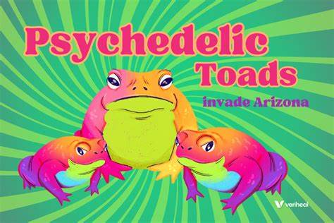 These Toads Have Psychedelic Powers, but They'd Prefer to Keep It Quiet