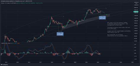 Classic Bitcoin Indicator Suggests 2024 Bull Run, Says Trader Who Called May 2021 Collapse - The Daily Hodl