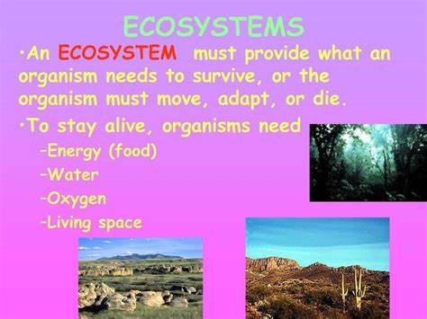 Reflections: The ecosystem is moving (2016)