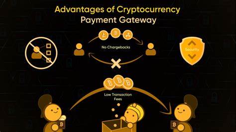 Which Categories of Businesses Can Benefit from a Cryptocurrency Payment Processor?