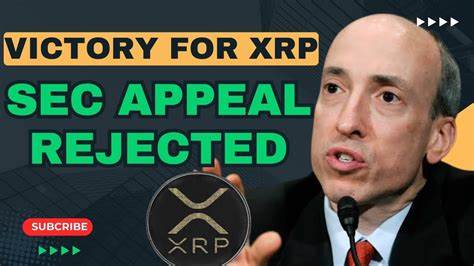 What Happens Next in The SEC XRP Appeal Case? - 99Bitcoins