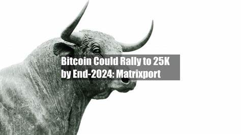 Bitcoin Could Rally to $125K by End-2024: Matrixport - CoinDesk