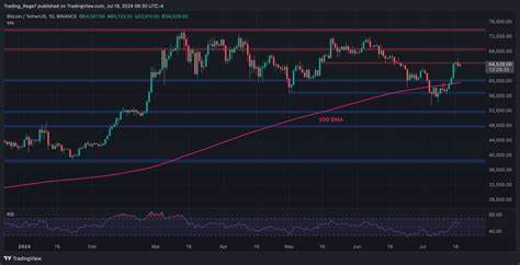 BTC price eyes sub-$65K hurdles as metric hints Bitcoin 'going to rip' - MSN