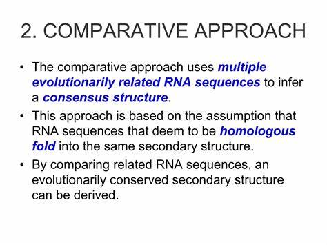 Prediction of evolutionarily conserved RNA secondary structures from sequences