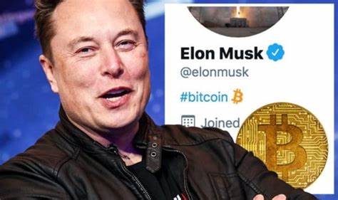 Elon Musk’s Tesla Faces $600M Loss in its Bitcoin Investment - Crypto Times