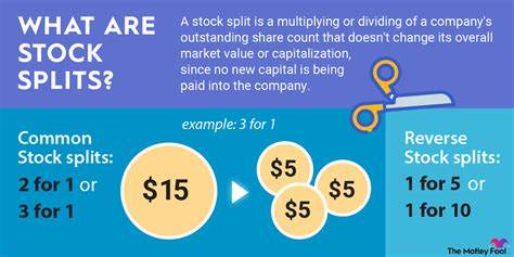 Are Stock Splits Good? Here's the Data - The Motley Fool