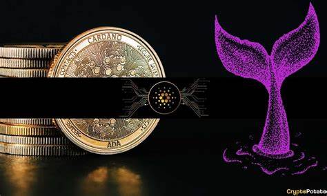 Whales Accumulate Ripple and This New Coin, Cardano Eyes Potential Breakout - Analytics Insight