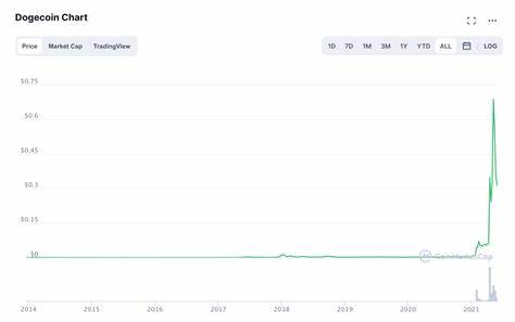How to Know if a Shitcoin Is Good or Bad - Bybit Learn