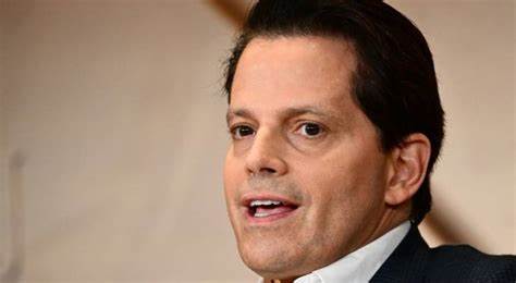 'I’ve been embarrassed by my predictions': Anthony Scaramucci admits 
