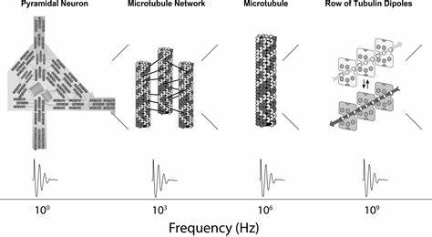 Quantum microtubule substrate of consciousness is experimentally supported