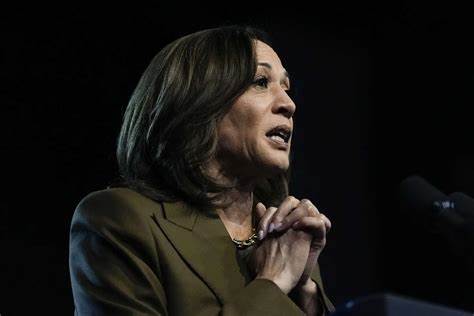 US Presidential Election 2024 Results: 11 reasons why Kamala Harris lost badly - Times of India