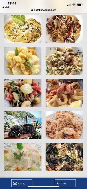 Lo Scoglio, Massa Lubrense - Menu del ristorante, prezzi e recensioni 