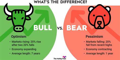 Invest 100% in stocks? Be aware of the bull market’s investing myths