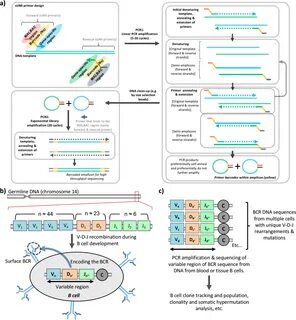 Corrections & Amplifications