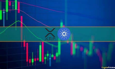 DOT, POL, XRP, ADA face a tough rival expected to rise from $0.03 to $15 by end of 2024 - crypto.news
