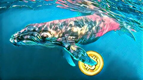 Unknown whale swiftly moves $432 million worth of Bitcoin - Nairametrics