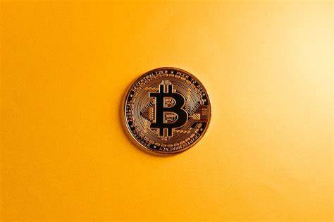 5 New Bitcoin Layer 2 Protocols You Should Know About in 2024