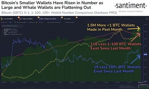 Mogo Reports 135% Increase in Bitcoin Transaction Volume in November - Business Wire